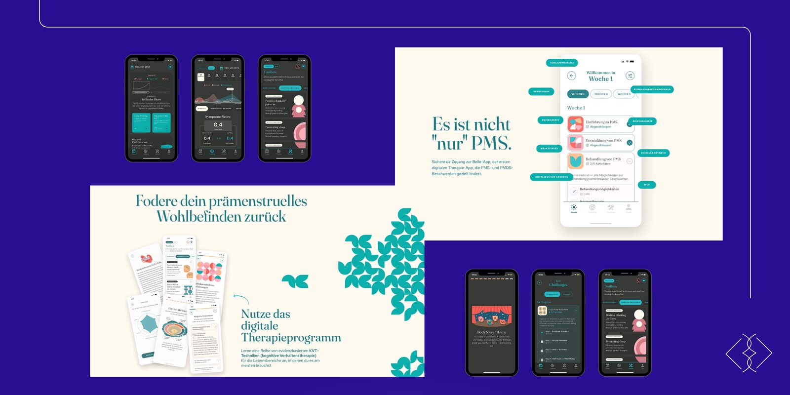 Prints do site em alemão sobre a versão DTx e telas da jornada B2C em inglês