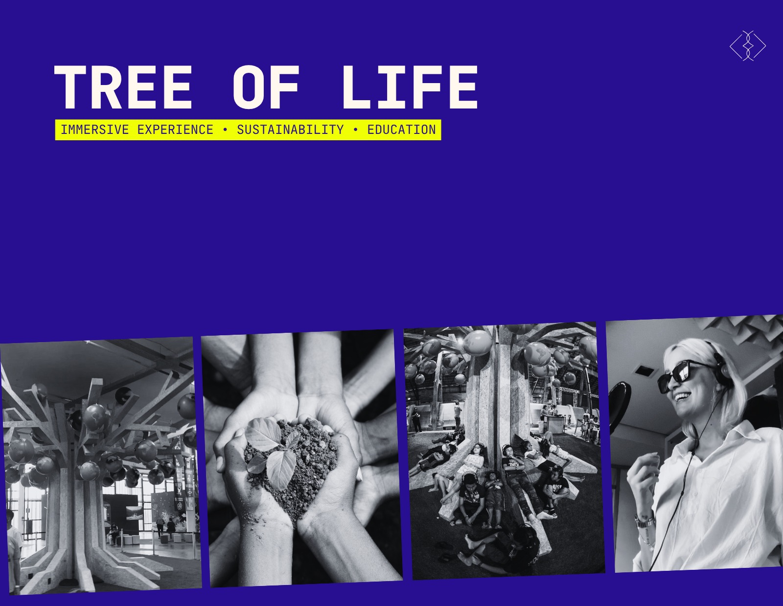 Cover for the Tree of Life case