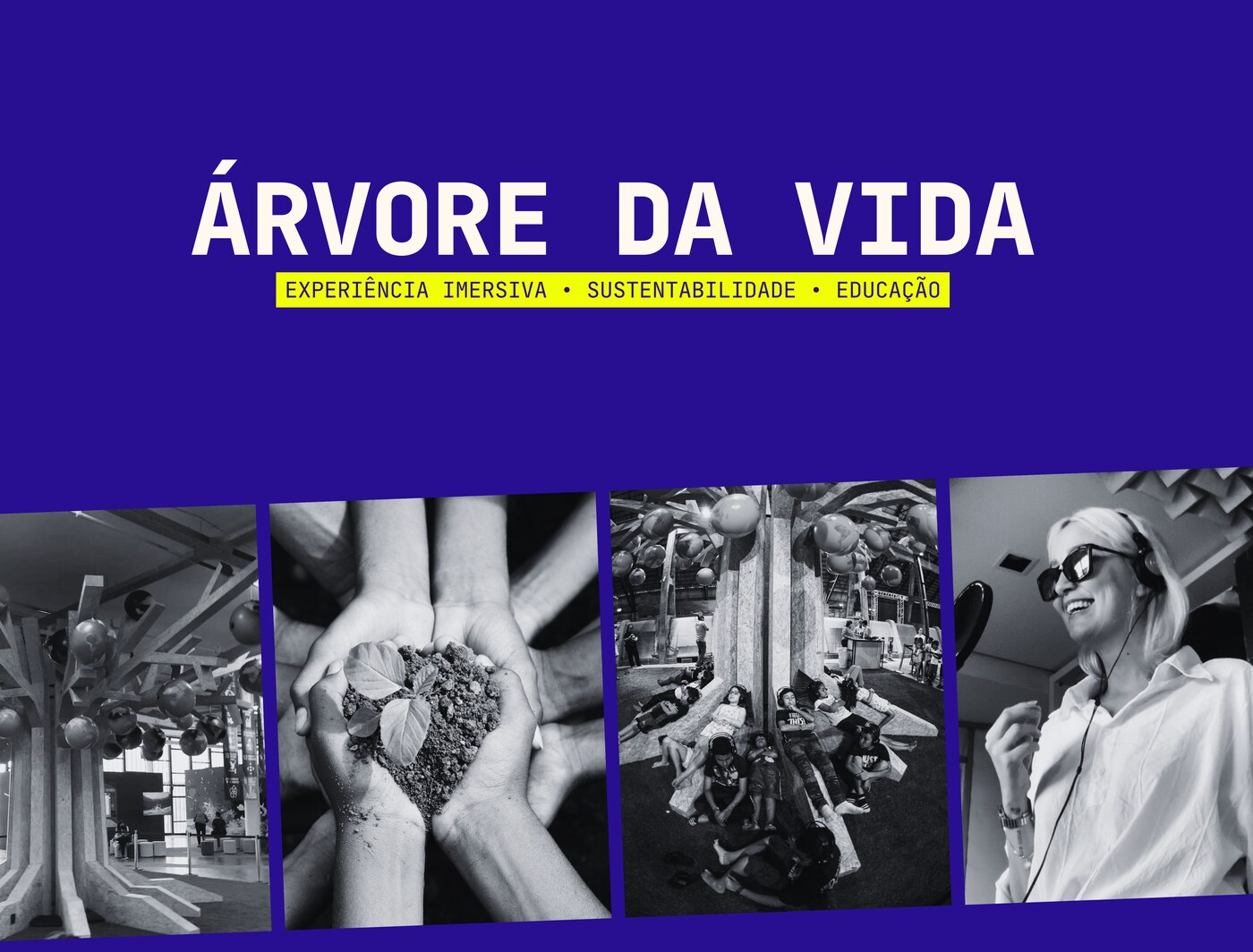 Capa do case Árvore da Vida